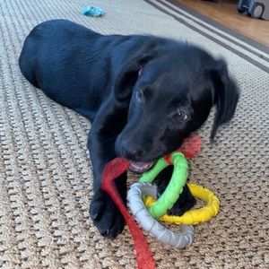 Meet your Posher, Alexyd